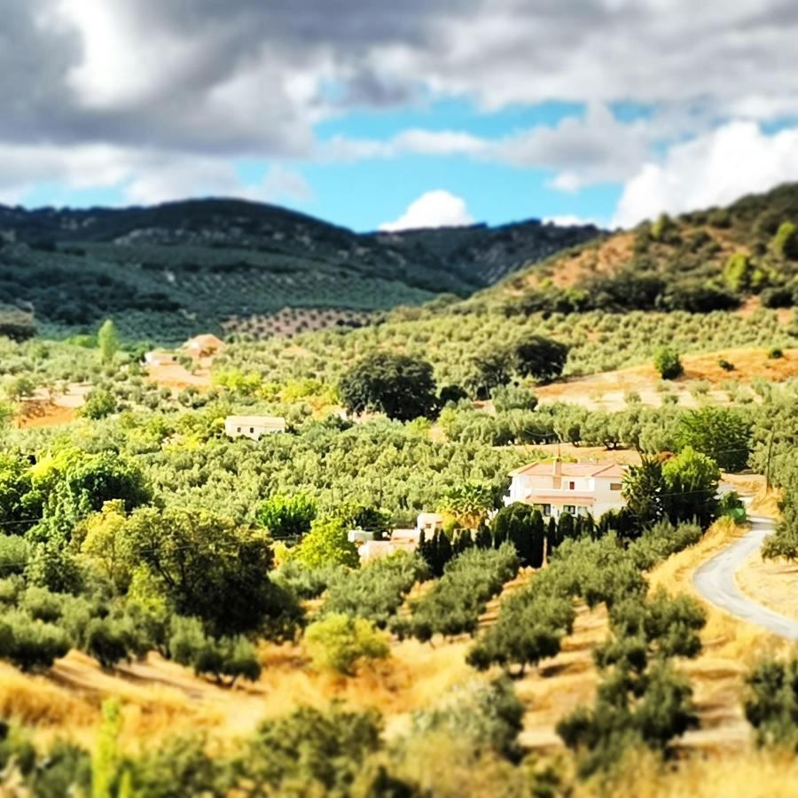 Cortijo Pennymaria Poolside Apartment Near Montefrio With Stunning Views Extérieur photo