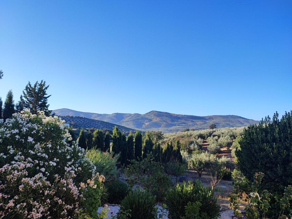 Cortijo Pennymaria Poolside Apartment Near Montefrio With Stunning Views Extérieur photo