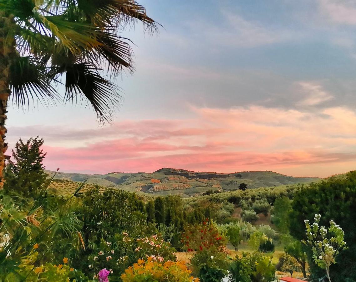 Cortijo Pennymaria Poolside Apartment Near Montefrio With Stunning Views Extérieur photo